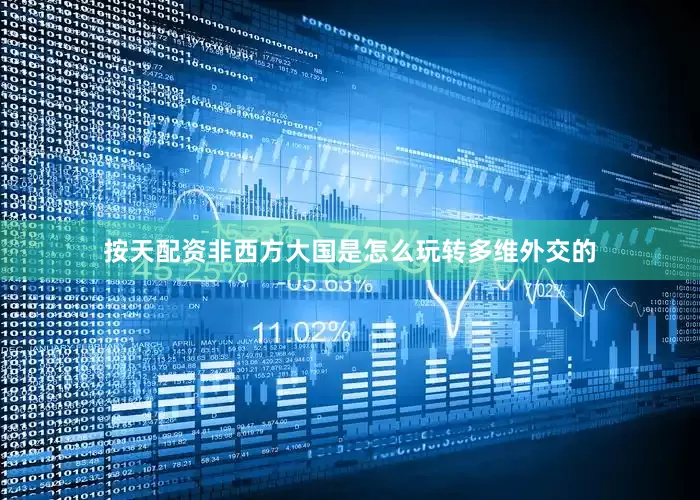 按天配资非西方大国是怎么玩转多维外交的