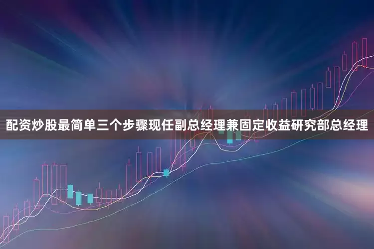 配资炒股最简单三个步骤现任副总经理兼固定收益研究部总经理