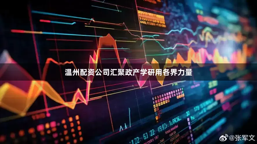 温州配资公司汇聚政产学研用各界力量